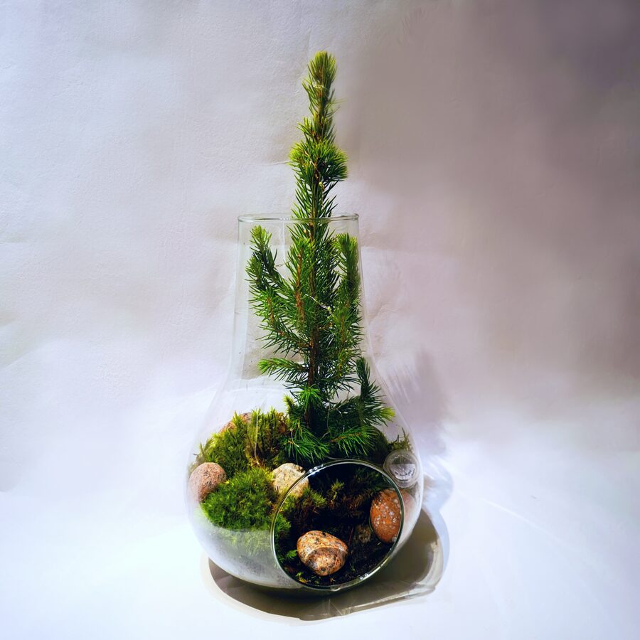 Christmas tree (~42cm x 19cm)