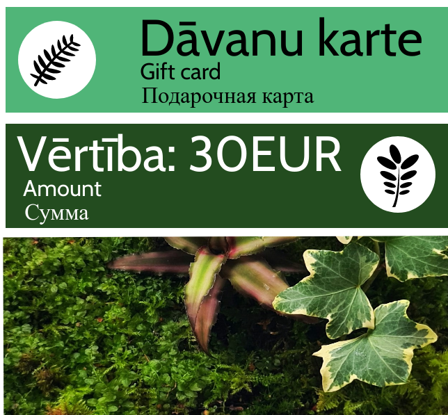 Подарочная карта - 30 EUR