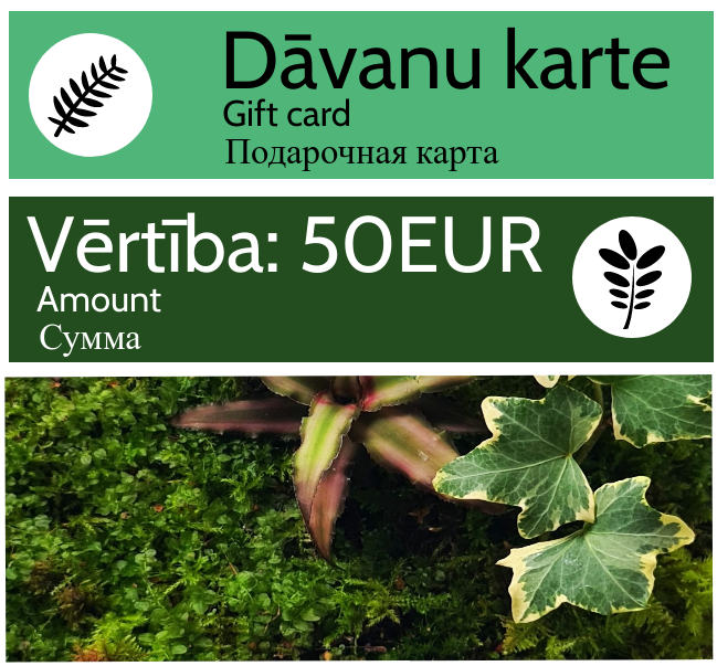 Gift card - 50 EUR