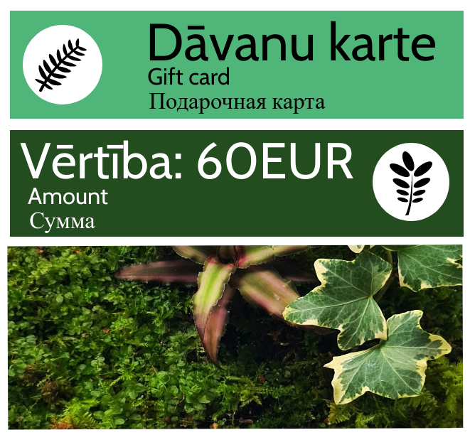 Подарочная карта - 60 EUR