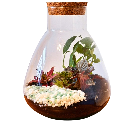 Карибское побережье (29 см x 25 см)