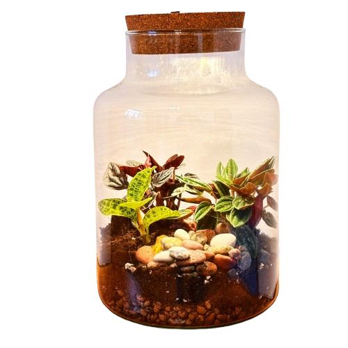 Сочельник (28 см x 17 см) LED