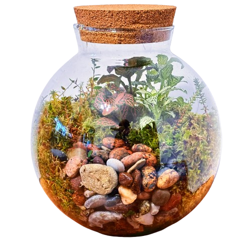 Болотное чудо (18 см x 17 см)