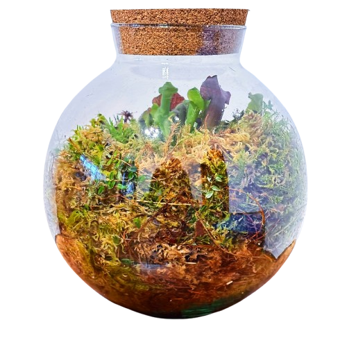 Болотные друзья (18 см x 17 см)