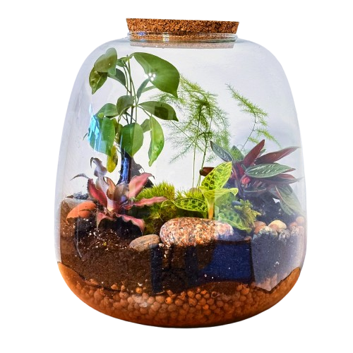 Красавица (25,5 см x 23 см)