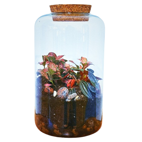 Трио (25см х 15см)