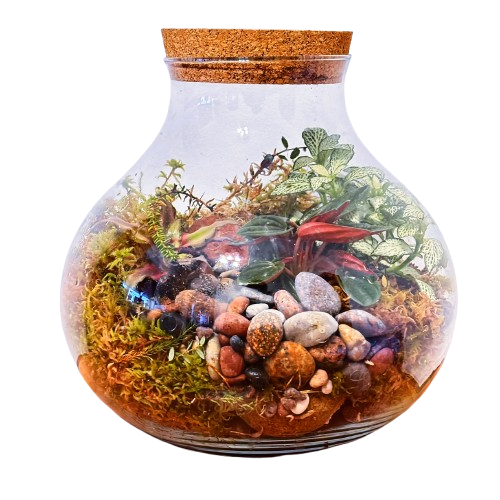 Сокровище (24 см x 26 см)