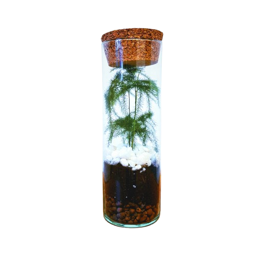 Ziemassvētku eglīte (20cm x 7cm)