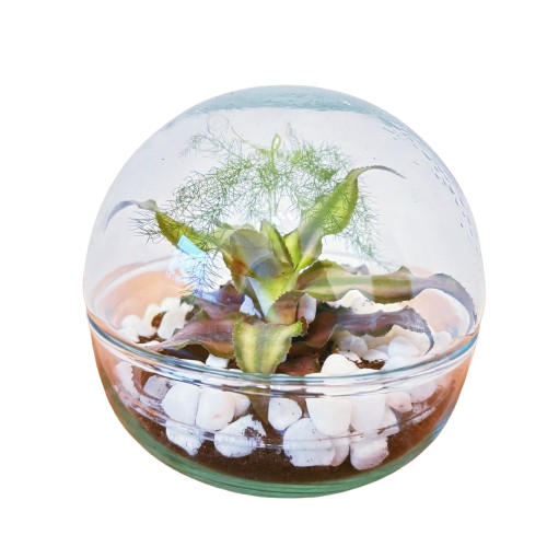 Sniega bumba (12cm x 12cm)