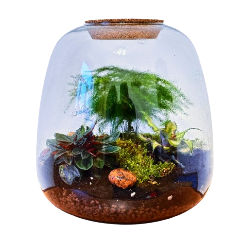 Zaļš mākonis (25.5cm x 23cm)