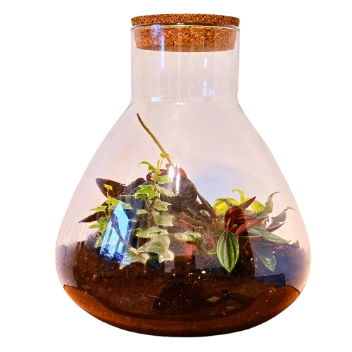 Bagātība (34cm x 29cm)