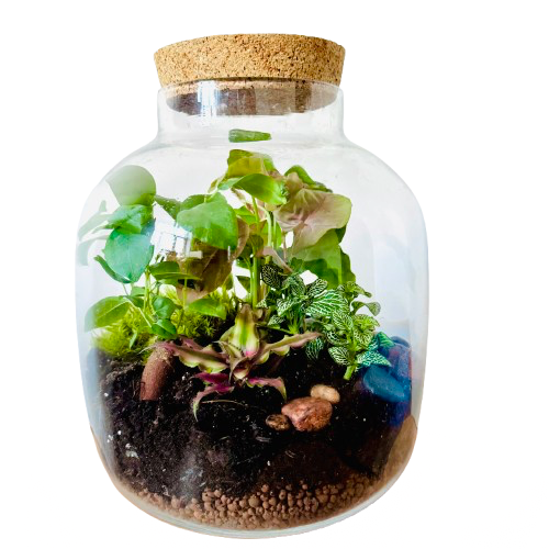 Рассвет (33см х 26см)