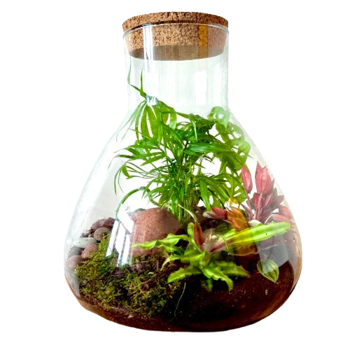 Тропическая места (34см x 29см)